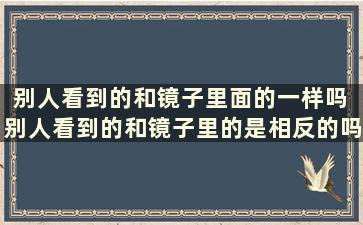 别人看到的和镜子里面的一样吗 别人看到的和镜子里的是相反的吗